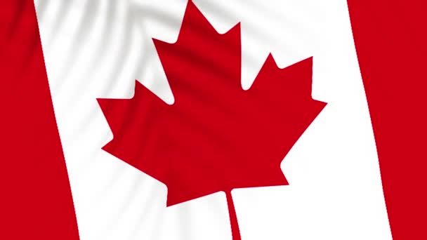 Canada Flaggvideor Slow Motion Videor Flagga Blåser Närbild Med Träd — Stockvideo