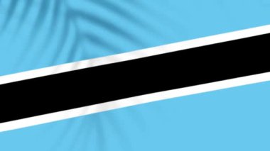 Botswana flag videos. Slow Motion videos. Flag Blowing Close Up with tree shadow 4k
