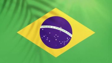 Brazil flag videos. Slow Motion videos. Flag Blowing Close Up with tree shadow 4k