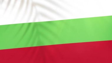 Bulgaria flag videos. Slow Motion videos. Flag Blowing Close Up with tree shadow 4k