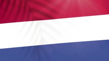 Netherlands flag videos. Slow Motion videos. Flag Blowing Close Up with tree shadow 4k