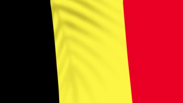 比利时国旗视频 慢动作视频 旗子在树荫下飘扬 — 图库视频影像