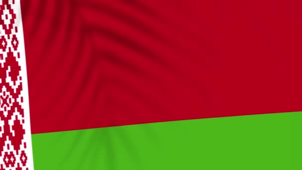 Λευκορωσία Σημαία Βίντεο Βίντεο Αργής Κίνησης Σημαία Φυσάει Κοντά Σκιά — Αρχείο Βίντεο