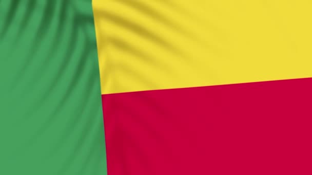 Benin Flag Videos Slow Motion Videos Flag Blowing Close Tree — Wideo stockowe