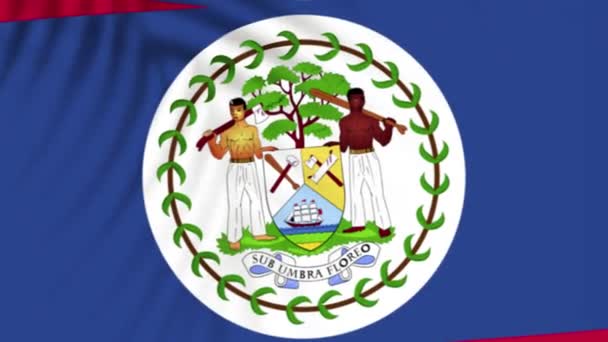 Belize Flaggvideor Slow Motion Videor Flagga Blåser Närbild Med Träd — Stockvideo