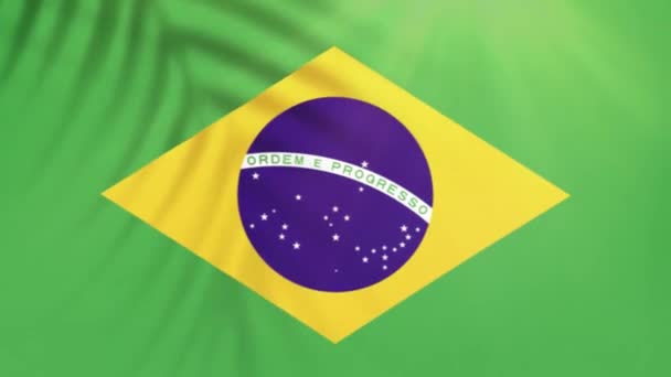 巴西国旗视频 慢动作视频 旗子在树荫下飘扬 — 图库视频影像
