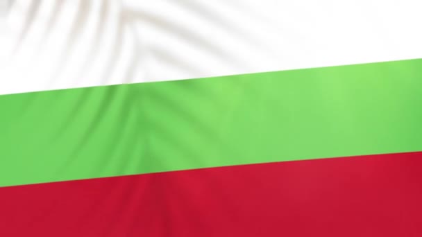 Bulgaria Flag Videos Slow Motion Videos Flag Blowing Close Tree — Stockvideo