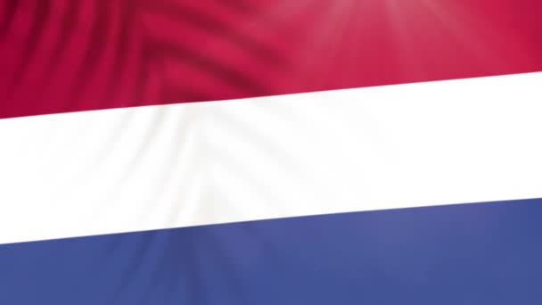 Нідерланди Флагманські Відео Відео Повільним Рухом Прапори Здуваються Тінню Дерев — стокове відео