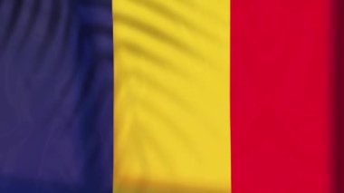Chad flag videos. Slow Motion videos. Flag Blowing Close Up 4k