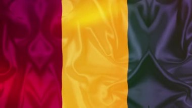 Guinea flag videos. Slow Motion videos. Flag Blowing Close Up 4k