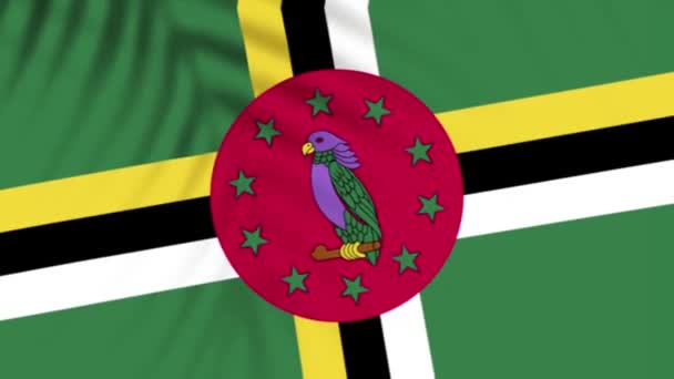 Dominica Flag Videos Slow Motion Videos Flag Blowing Close — Video Stock