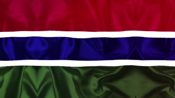 Gambia Flag Videos Slow Motion Videos Flag Blowing Close — Vídeo de stock