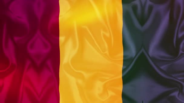 Βίντεο Σημαία Γουινέας Βίντεο Αργής Κίνησης Σημαία Που Φυσάει Κοντά — Αρχείο Βίντεο