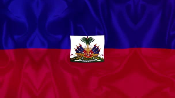 Haiti Flag Videos Slow Motion Videos Flag Blowing Close — Wideo stockowe