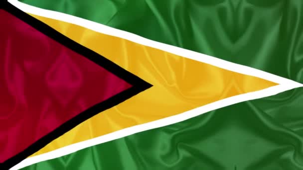 Guyana Flag Videos Slow Motion Videos Flag Blowing Close — Stok Video