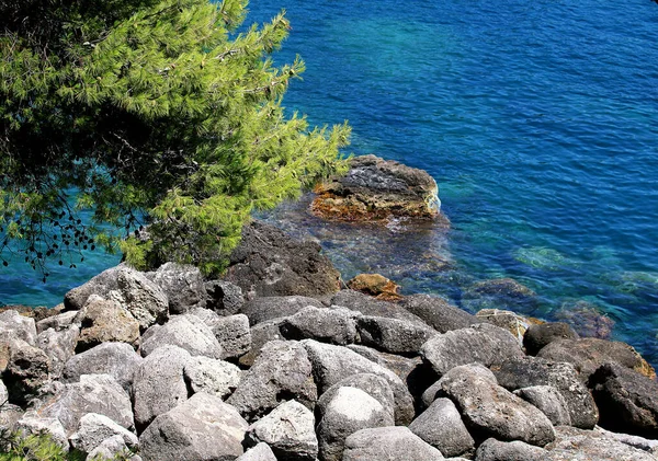 背後に岩や木がある海辺の風景 — ストック写真