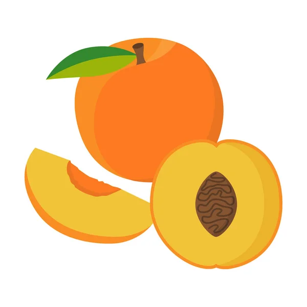 扁平的桃子 一半桃子和一片桃子在白色的背景上隔离 矢量说明 — 图库矢量图片#