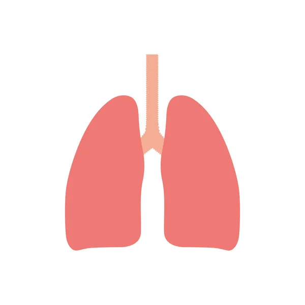 Flat Icon Lungs Isolated White Background Medical Icon Vector Illustration — Stock Vector
