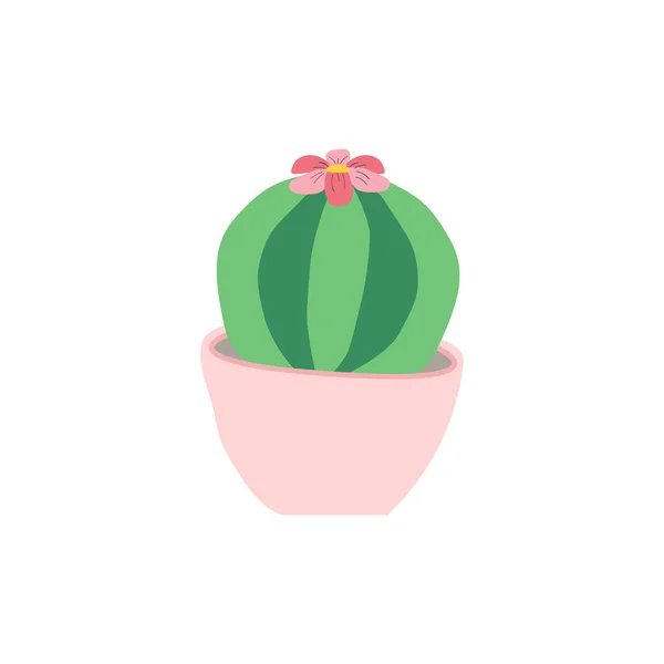 Plochý Ikona Kaktus Květináči Růže Izolované Bílém Pozadí Vektorová Ilustrace — Stockový vektor
