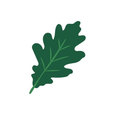 Düz meşe yaprağı beyaz arkaplanda izole edilmiş. Yeşil yaprak. Vektör illüstrasyonu.