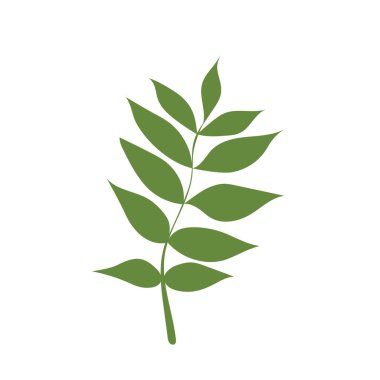 Düz ikon kül yaprağı beyaz arkaplanda izole edilmiş. Kül ağacı. Vektör illüstrasyonu.