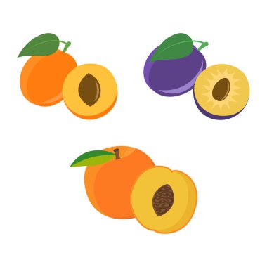 Düz ikonlar kayısı, erik ve şeftali beyaz arka planda izole edilmiş. Mevsimlik meyveler. Vektör illüstrasyonu.