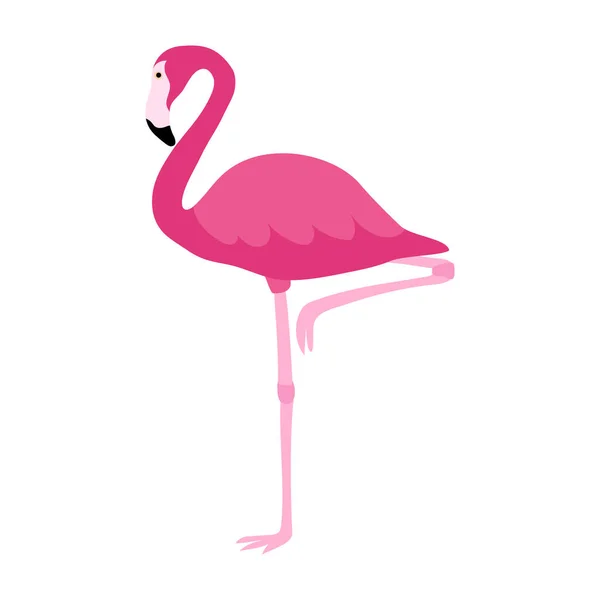 Platt Ikon Rosa Flamingo Isolerad Vit Bakgrund Tropisk Fågel Vektorillustration — Stock vektor