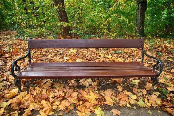 Drewniana Ławka Jesienią Żadnych Ludzi Parku — Zdjęcie stockowe