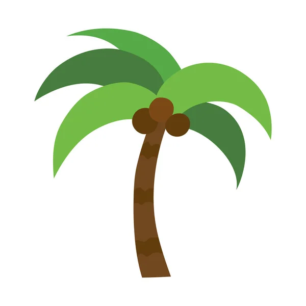 Palmeira Ícone Plana Isolado Fundo Branco Ilustração Vetorial — Vetor de Stock