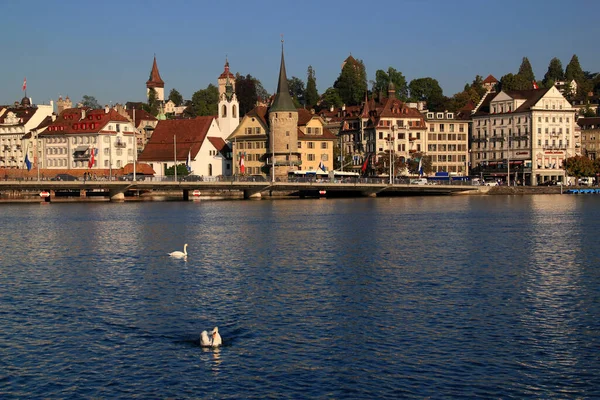 瑞士卢塞恩 2018 图片说明卢塞恩湖畔的历史建筑和天鹅的前景 — 图库照片