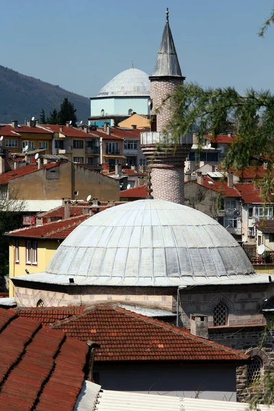 Ein Foto Von Einer Einzigen Minarett Moschee Und Einem Grünen — Stockfoto