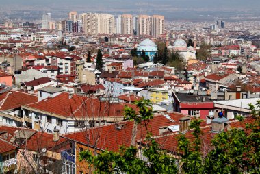 Bursa (Türkiye) şehrinin panoramik bir görüntüsü, pek çok cami ve fotoğrafın ortasında ön planda ağaç bulunan bir Yeşil Mezar bulunuyor.