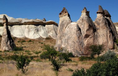 Türkiye 'nin Kapadokya kentindeki Goreme kasabası yakınlarındaki Pasabag Vadisi' nde külah şeklinde mantar dağları (peri bacaları olarak da bilinir) bulunan manzara