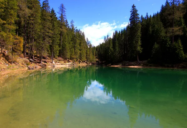 Krajobraz Szmaragdową Gładką Powierzchnią Jeziora Lago Braies Sosnami Brzegu Przed — Zdjęcie stockowe