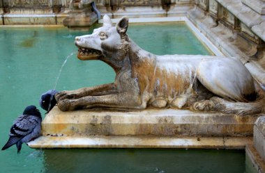 Siena, İtalya - 27 Mayıs 2019: Fotoğraf, İtalya 'nın Siena, Toskana bölgesinin tarihi merkezinde Piazza del Campo' daki Fonte Gaia çeşmesinin ön planında güvercinlerle birlikte bir kısmını gösteriyor