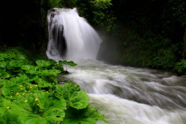 İtalya 'nın Umbria bölgesinde Marmore, Terni, Umbria kasabasındaki çalılık ve ağaçların yoğun olduğu Cascata delle Marmore şelalesinin manzaralı manzarası.