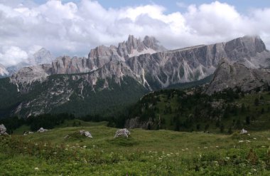 Dolomitler, Güney Tyrol Bölgesi 'nde bulutlu bir gökyüzüne karşı önplanda çiçeklerle dağları ve çayırları gösteren manzara fotoğrafı.