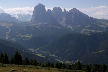 Sassolungo dağının sabah sisli manzarasının panoramik görüntüsü ve sabah güneşiyle aydınlanan Dolomitler, Güney Tyrol Bölgesi, İtalya 'da bir çayır ve çam ağaçları ile