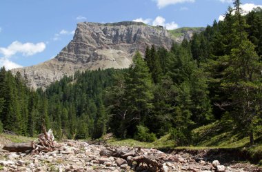 Landscape photo with a view of a mountain peak, dense coniferous forest and stones in the foreground near Ortisei, in the Dolomites, South Tyrol, Italy clipart