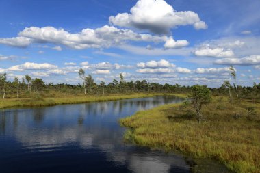 Mavi bir göl ve bulutlu bir gökyüzü olan manzara fotoğrafı Letonya, Jurmala yakınlarındaki Kemeru Ulusal Parkı 'ndaki bataklıklarda yansıyor.