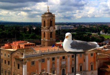 Roma, İtalya - 28 Mayıs 2019: Roma Forumu 'nun tarihi kesiminde antik binalar ve bazilikalar ile panoramik görünümü