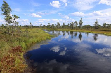 Mavi bir göl ve bulutlu bir gökyüzü olan manzara fotoğrafı Letonya, Jurmala yakınlarındaki Kemeru Ulusal Parkı 'ndaki bataklıklarda yansıyor.
