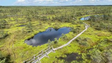 Göl ve bataklıklarla dolu hava manzarası ve Jurmala, Letonya yakınlarındaki Kemeru Ulusal Parkı 'nda bulunan ahşap bir patika.