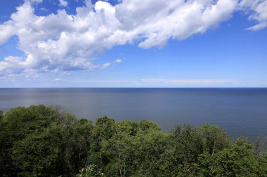Finlandiya Körfezi suları ve önplanda ağaçlarla birlikte Estonya 'da bulutlu mavi bir gökyüzüne karşı manzara fotoğrafı.
