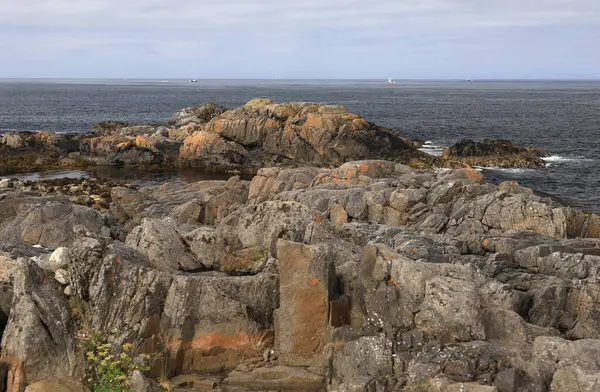 Norveç 'in Laukvik, Lofoten Adaları' ndaki kayalık sahil ve Norveç Denizi ile manzara fotoğrafı