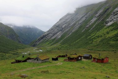 Geiranger, Norveç - 18 Haziran 2024: Hjelledalen geçidinde çatılarında bitki örtüsü olan dağ, dere ve kır evleri manzaralı manzara fotoğrafı
