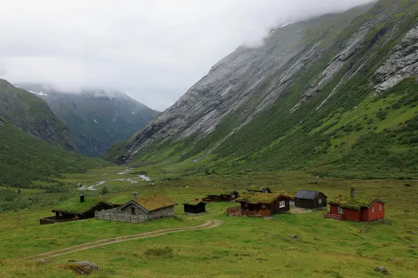Geiranger, Norveç - 18 Haziran 2024: Hjelledalen geçidinde çatılarında bitki örtüsü olan dağ, dere ve kır evleri manzaralı manzara fotoğrafı