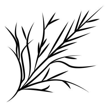 Botanik linocut mürekkep bitkisi vektör illüstrasyonunu doku ve organik elementlerle damgalar, şifalı bitkiler. Vektör illüstrasyonu