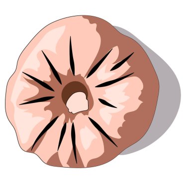 Sonbahar Favorileri - Balkabağı Baharatı, Yapraklar, Dikensiz, Arkaplan Yok. Vektör illüstrasyonu