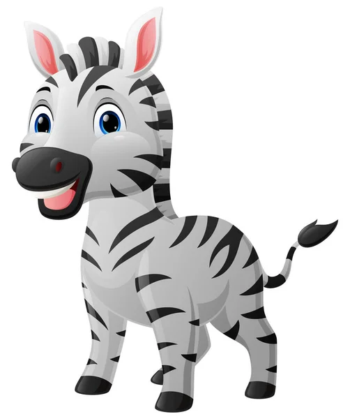 Vector Illustration Cute Baby Zebra Cartoon White Background — Vettoriale Stock